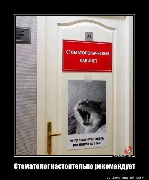 Мем, Антиклептократ Мем, Антиклептократ