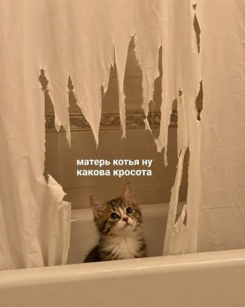 Мем, Леонид Хлыновский Мем, Леонид Хлыновский