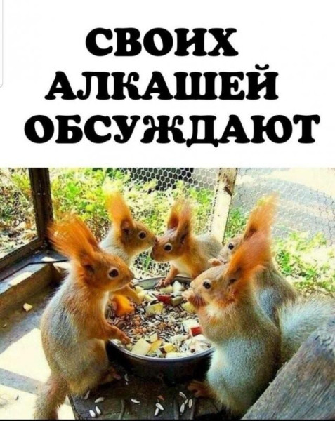 Мем, Bassplayer Мем, Bassplayer