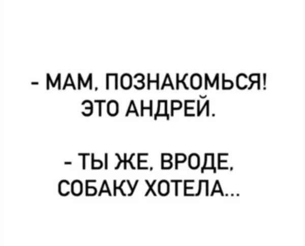 Мем, Антиклептократ Мем, Антиклептократ