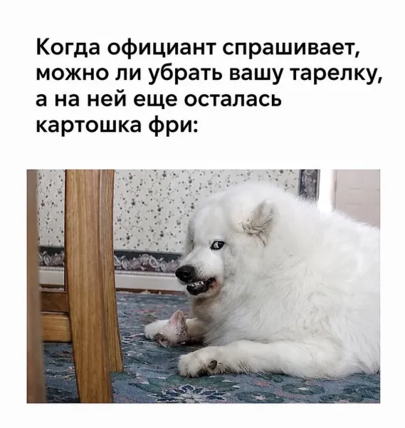 Мем, Антиклептократ Мем, Антиклептократ