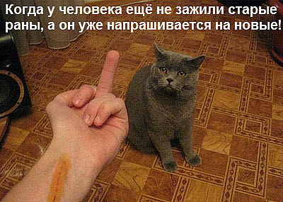 Мем, Леонид Хлыновский Мем, Леонид Хлыновский