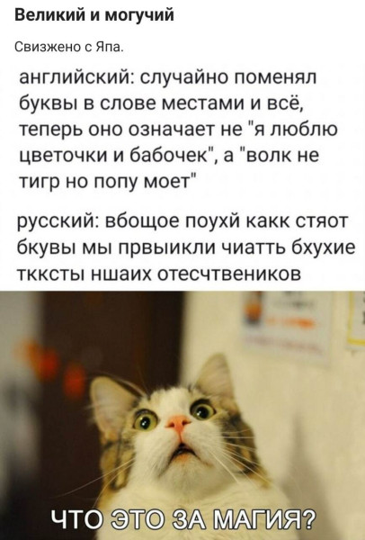 Мем, Mghost