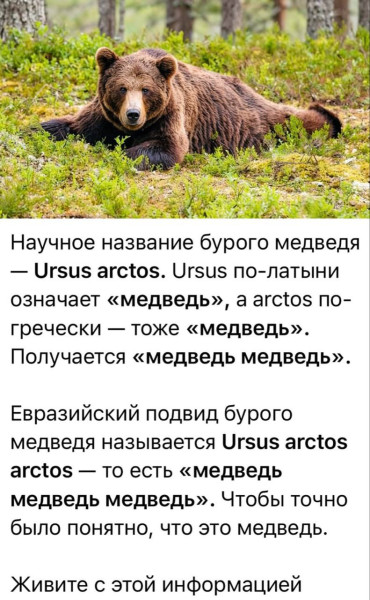 Мем, Hendry