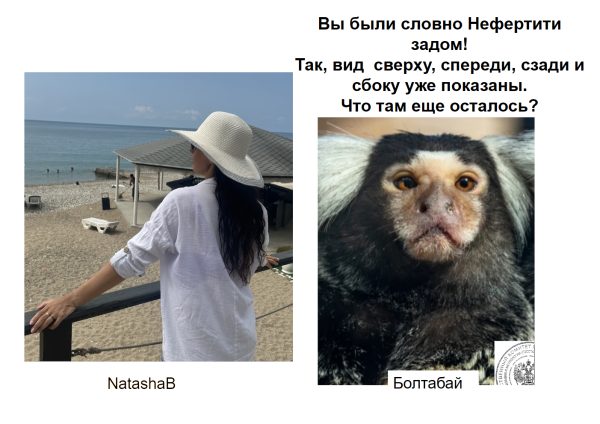 Мем, Болтабай