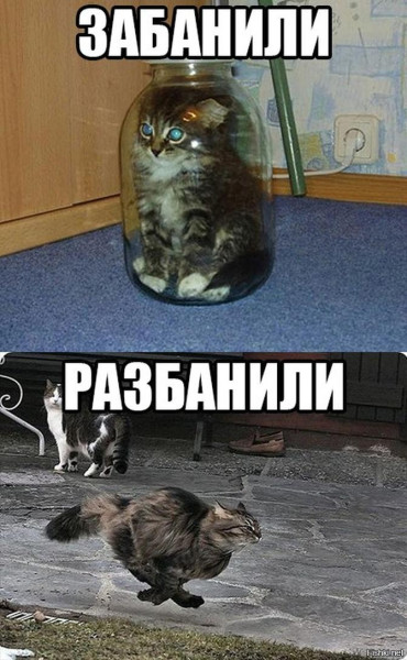 Мем, Антиклептократ
