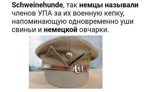 Мем, Mghost