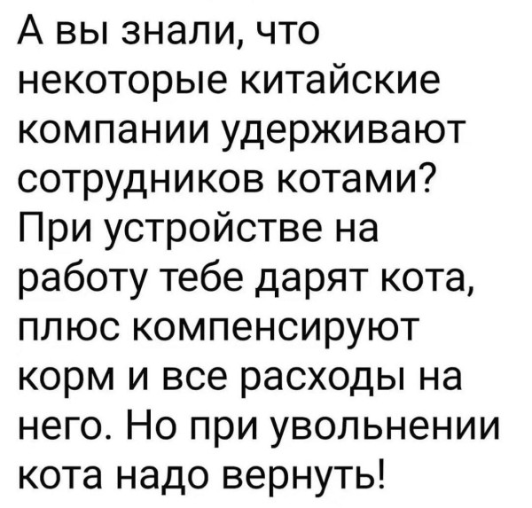 Мем, Hendry Мем, Hendry