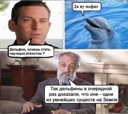 Мем, Кот Отморозкин Мем, Кот Отморозкин