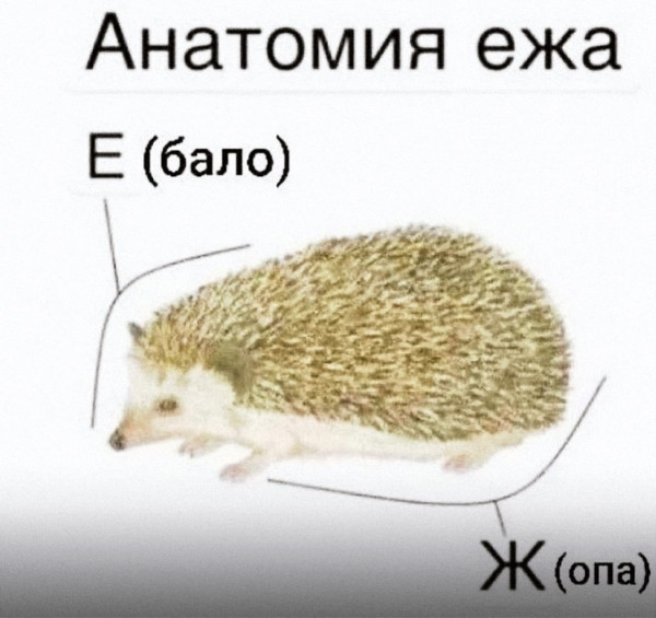 Мем, Кот Отморозкин Мем, Кот Отморозкин