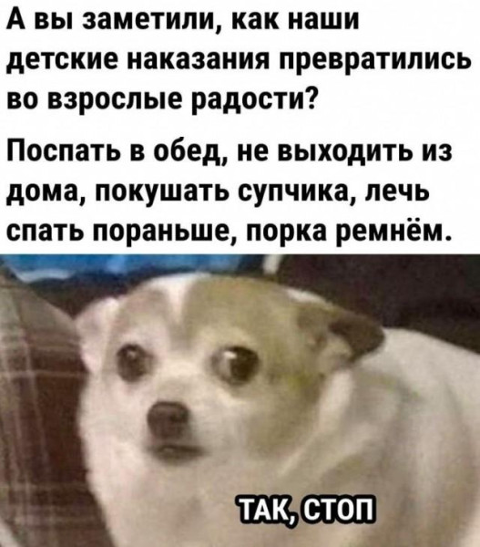 Мем, Антиклептократ Мем, Антиклептократ
