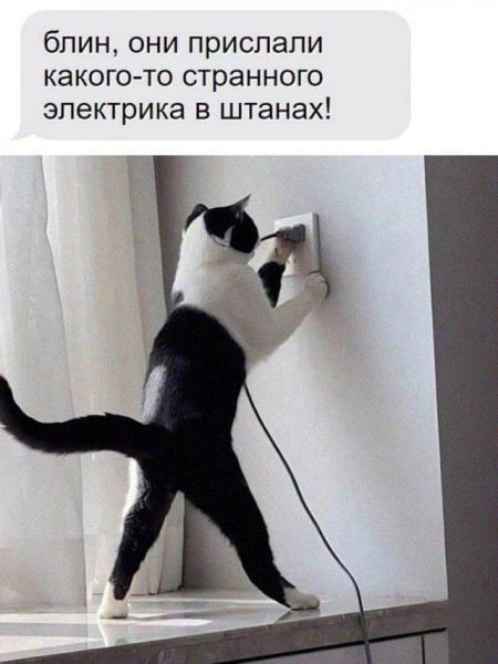 Мем, Антиклептократ Мем, Антиклептократ