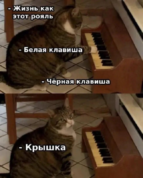 Мем, Антиклептократ Мем, Антиклептократ