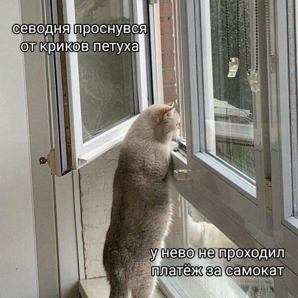Мем, Mghost