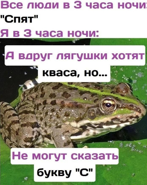 Мем, Антиклептократ