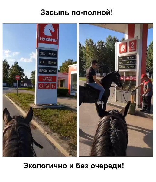 Мем, SKI