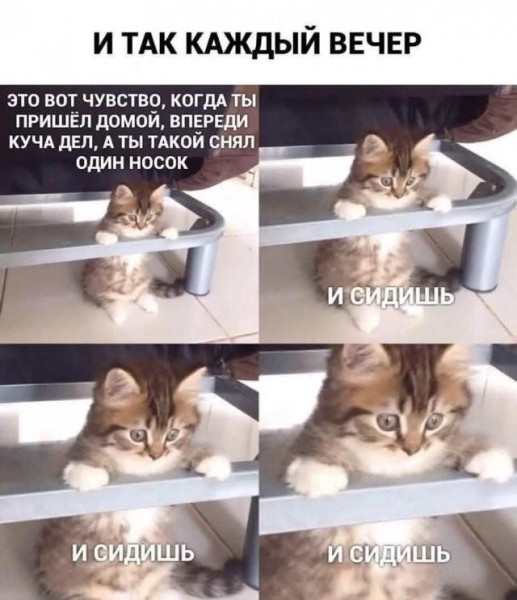 Мем, Антиклептократ