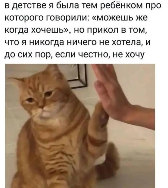 Мем, Антиклептократ Мем, Антиклептократ