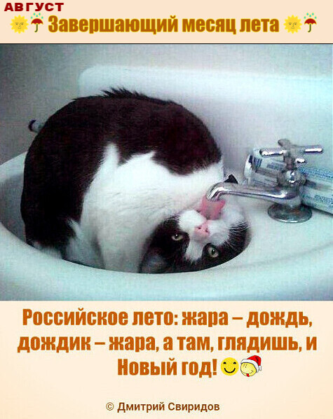 Мем Мем