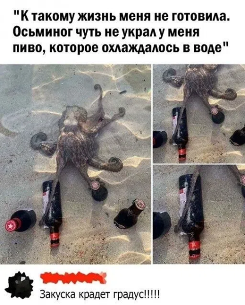 Мем, ArsenZahar5 Мем, ArsenZahar5