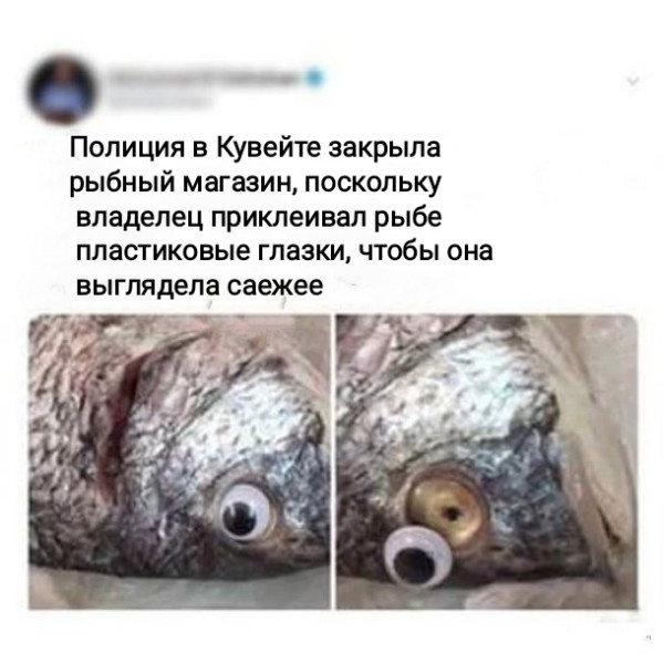 Мем, Рысь Мем, Рысь