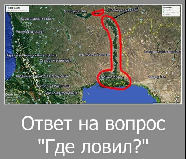 Мем, Волгоградский рыболов Мем, Волгоградский рыболов