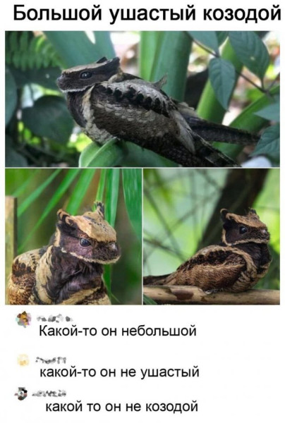Мем, Леонид Хлыновский Мем, Леонид Хлыновский