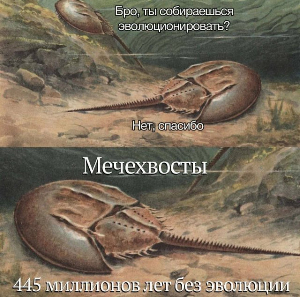 Мем, Леонид Хлыновский Мем, Леонид Хлыновский
