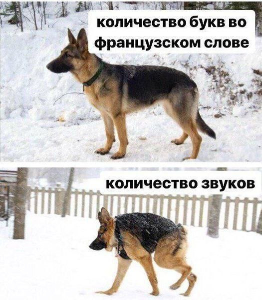 Мем, Леонид Хлыновский Мем, Леонид Хлыновский