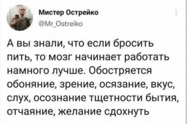 Мем, Антиклептократ Мем, Антиклептократ