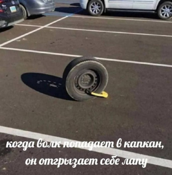 Мем, Антиклептократ Мем, Антиклептократ