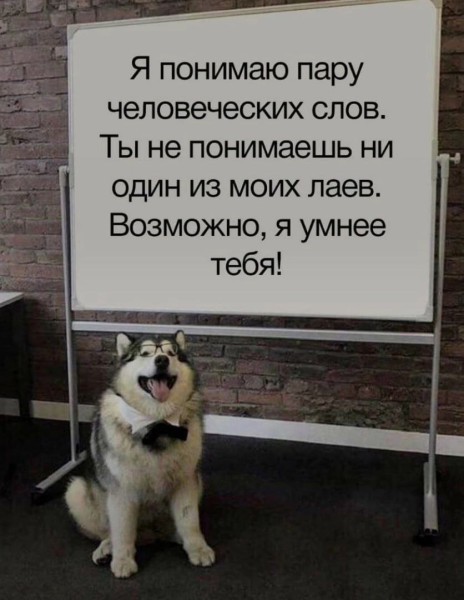 Мем, Леонид Хлыновский Мем, Леонид Хлыновский