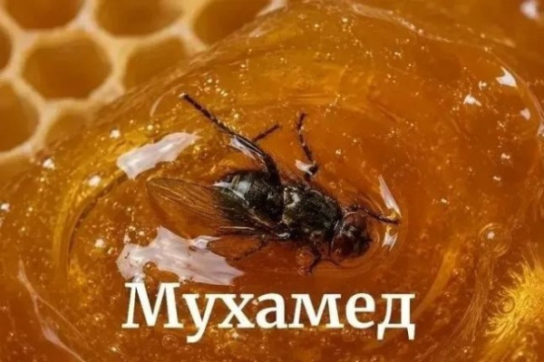 Мем Мем