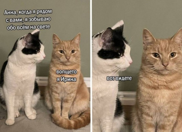 Мем Мем