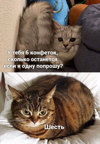 Мем, Mghost Мем, Mghost