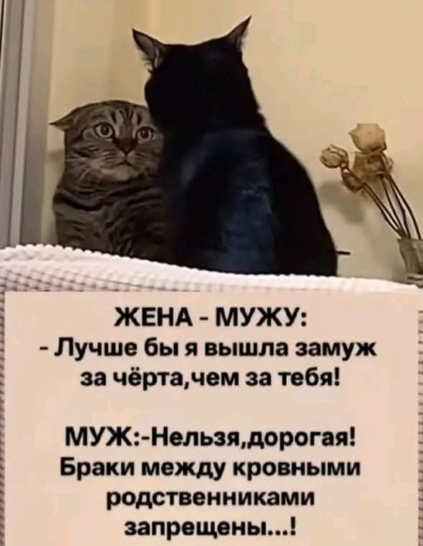 Мем Мем