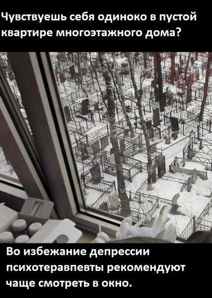 Мем, Лис Интересный Мем, Лис Интересный