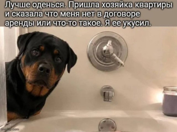 Мем, Леонид Хлыновский Мем, Леонид Хлыновский