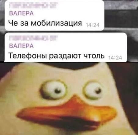 Мем, Bassplayer Мем, Bassplayer
