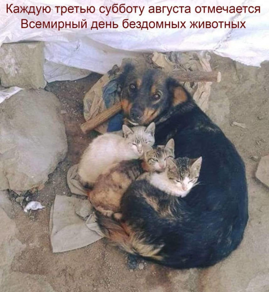 Мем Мем