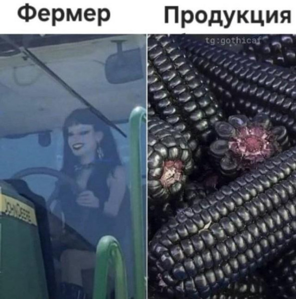 Мем, Антиклептократ Мем, Антиклептократ