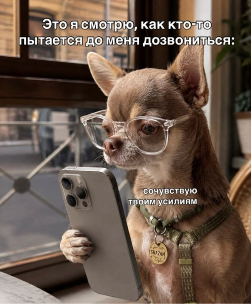 Мем, Bassplayer Мем, Bassplayer