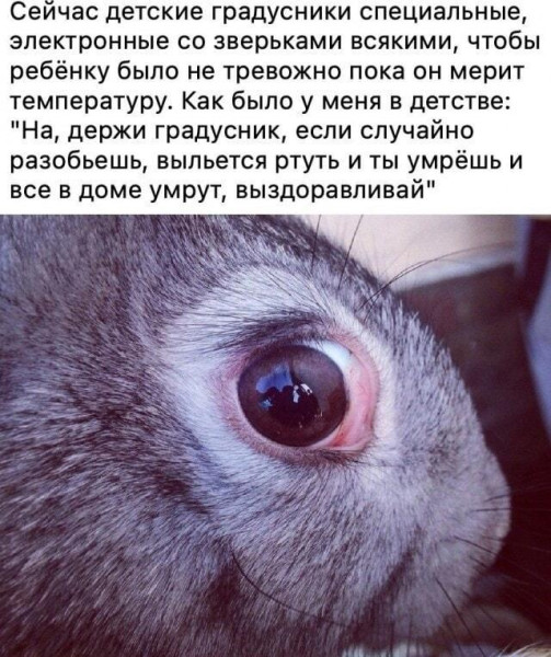 Мем, Антиклептократ Мем, Антиклептократ