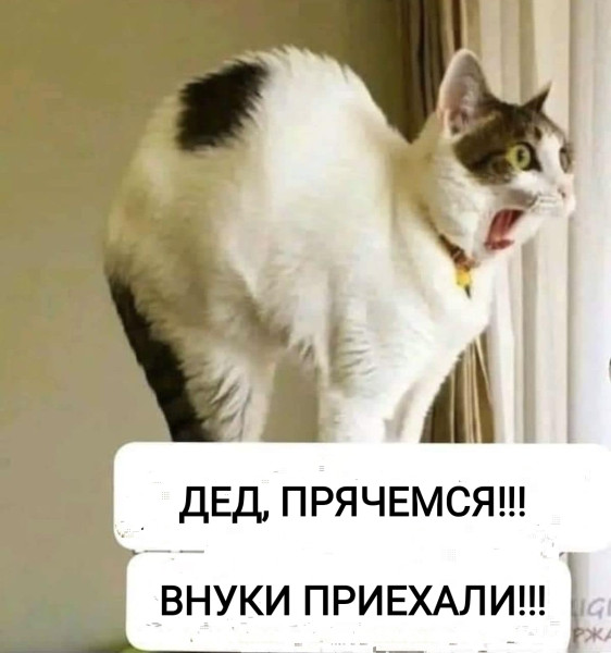 Мем, Рысь