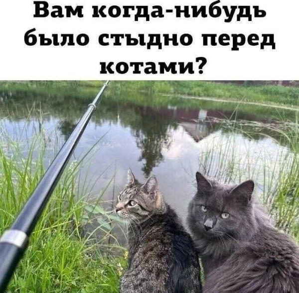 Мем, Леонид Хлыновский Мем, Леонид Хлыновский