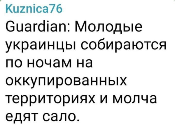 Мем, Максим Камерер
