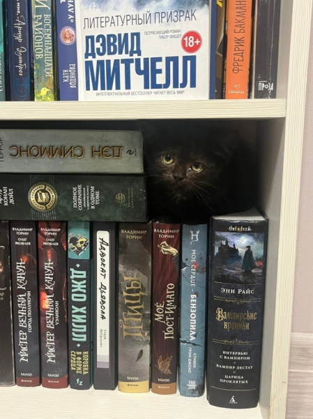 Мем