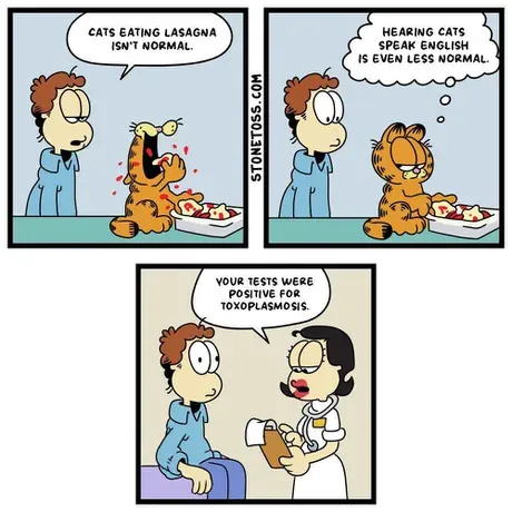 Мем: Гарфилд
