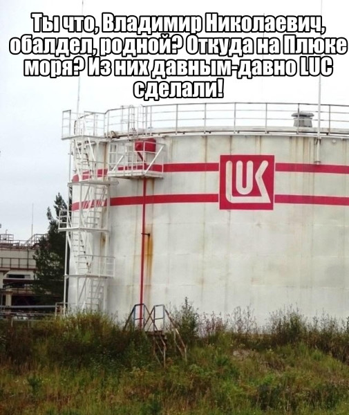Мем: Ку!, bart