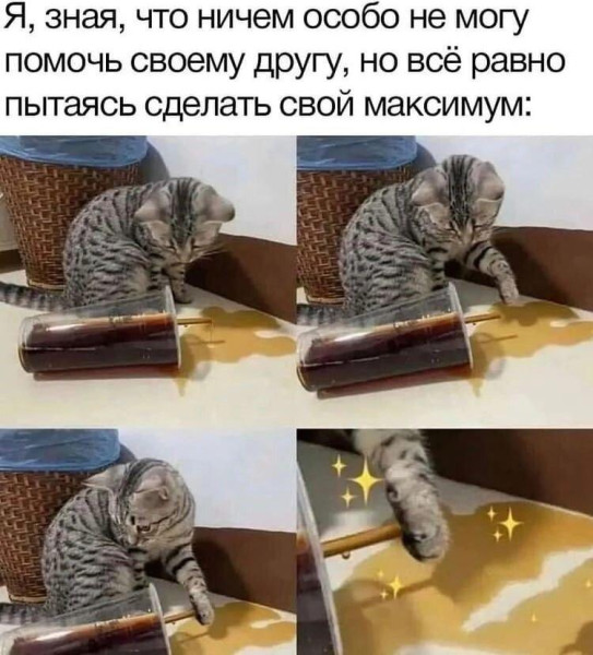 Мем, Антиклептократ
